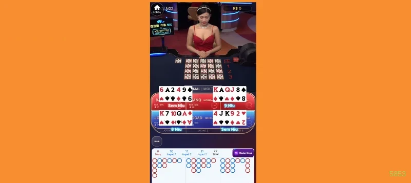 Login Interface